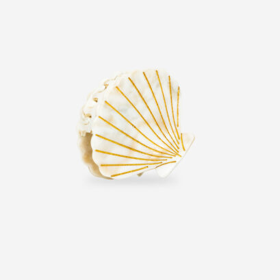 Pince Coquillage SASSTIE – Image 2